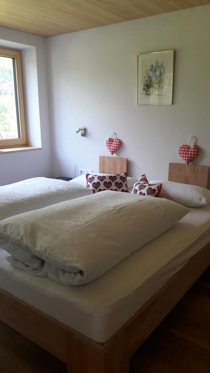 Haus Katharina Apartman Schnepfau Kültér fotó